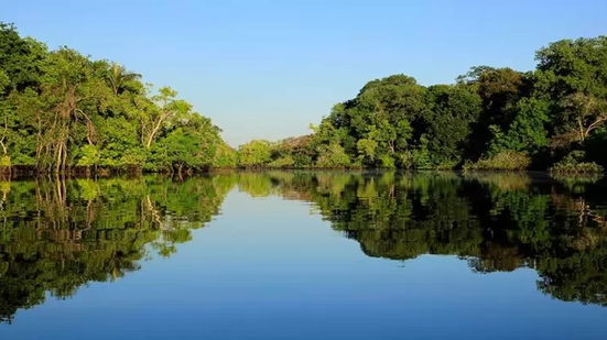 Reprodução/Ética Ambiental