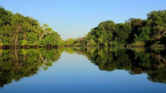 Reprodução/Ética Ambiental