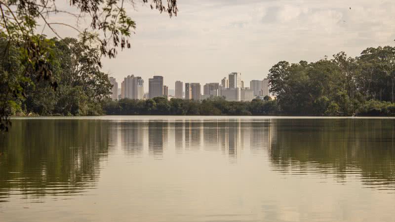 Divulgação / Pixabay