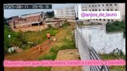Reprodução