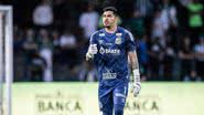 Raul Baretta/ Santos FC.