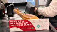 Reprodução / Instagram