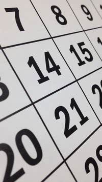 Calendário de 2025 é 'recheado' de feriados prolongados e anima trabalhadores; confira 