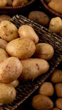 Batata crua é a melhor forma de limpar ralador de queijo; entenda