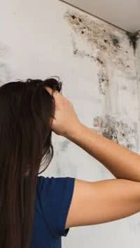 Mofo no teto?  Diga adeus à umidade com esses 4 truques infalíveis! 