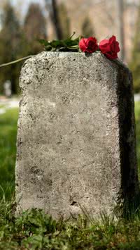 Quais as 10 principais causas de morte no mundo?