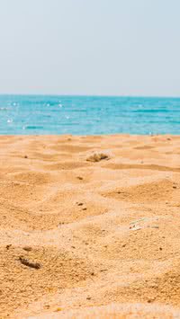 Por que levar areia da praia para casa é crime?