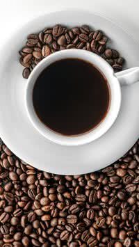 Descubra como o café pode influenciar a gordura corporal e os músculos, segundo estudo