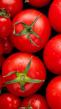 Tomate mais saboroso? Aprenda o truque de esperar alguns minutos antes de consumi-lo