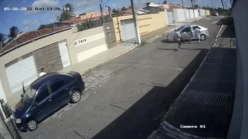 Reprodução