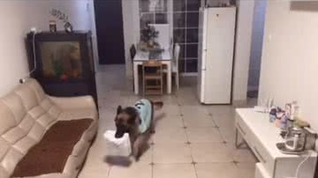 Reprodução/TikTok