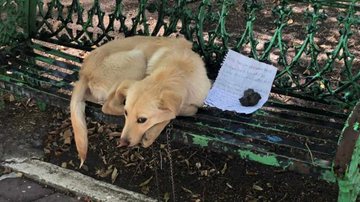 Mascotas Coyoacán/The Epoch Times Espanhol