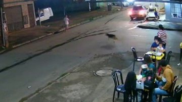 Reprodução