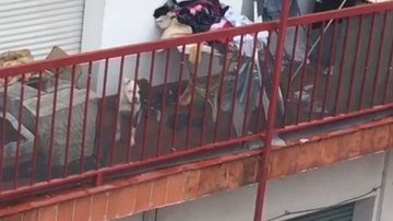 Divulgação