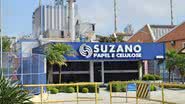 Imagem Gerente da Suzano fala sobre programas voltados à inserção do negro no mercado de trabalho; assista