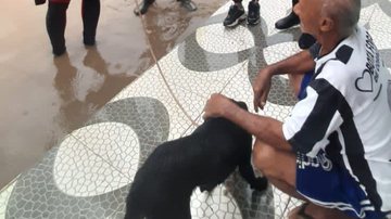 Divulgação