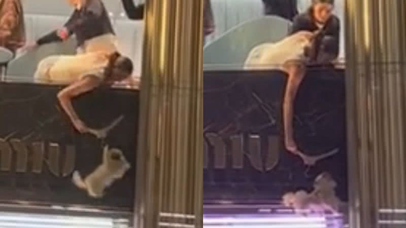 Reprodução/TikTok @tatortotsandmoonshine