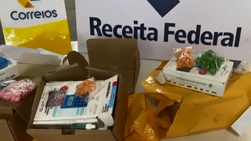Divulgação