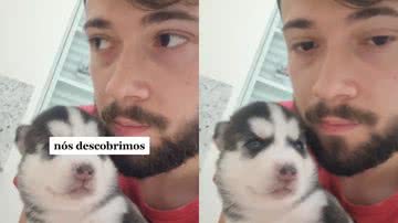 Reprodução/TikTok @atlas_husky