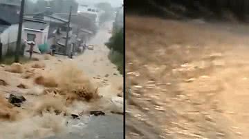 Reprodução Vídeo