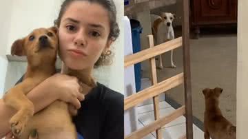 Reprodução/TikTok @yasmimgomes10