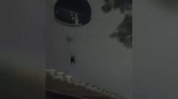 Reprodução / Vídeo