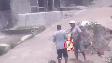 Reprodução/Vídeo
