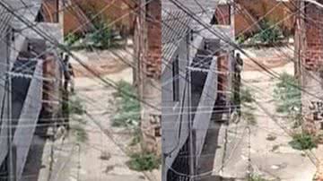 Montagem BNews