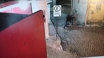 Reprodução/Vídeo
