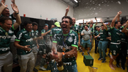 Cesar Greco/Palmeiras