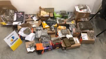 Imagem Polícia encontra 11 kg de drogas em embalagens de panetones natalinos na Bahia