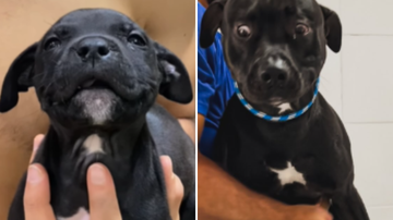 Reprodução / Redes sociais