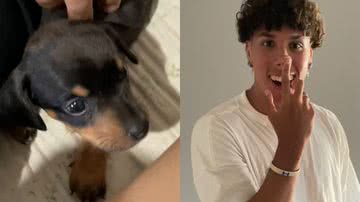 Reprodução/TikTok @gu_ari
