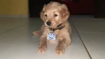 Reprodução/RedesSociais