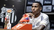 Raul Baretta/Santos FC