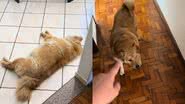 Reprodução// TikTok @isaabela.mendes