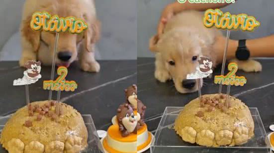 Reprodução// TikTok @ogoldenotavio