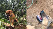 Reprodução// TikTok @malaika_eu