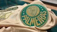 Divulgação/Palmeiras