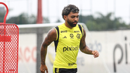 Gilvan de Souza/CRF