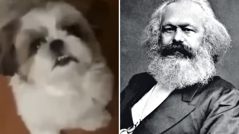 Reprodução / Redes sociais