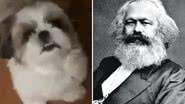 Reprodução / Redes sociais