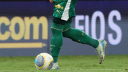 Cesar Greco/Palmeiras/by Canon