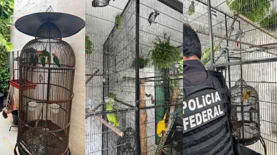 Divukgação/PF
