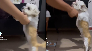Reprodução/TikTok @marleyeeu77