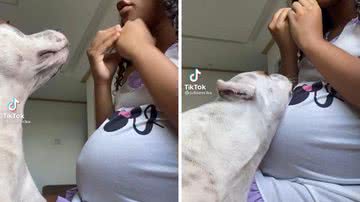 Reprodução/TikTok @julioeerika