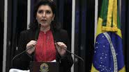 Jefferson Rudy/Agência Senado