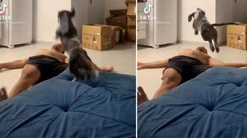 Reprodução/TikTok @fernanddafarias