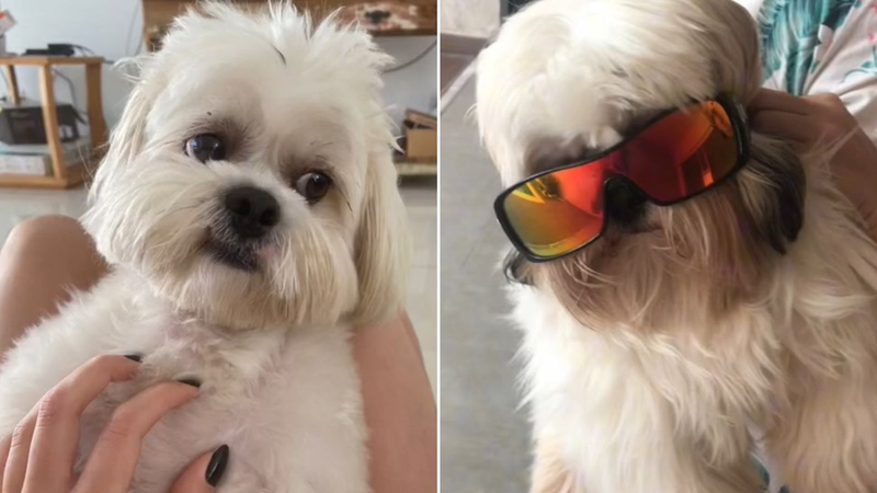 Reprodução/TikTok @micamcosta
