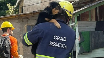 Reprodução/Instagram @grad_brasil